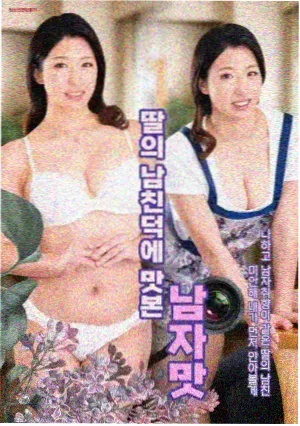 结构判断题配图：分集节拍与规则推翻的示意曲线